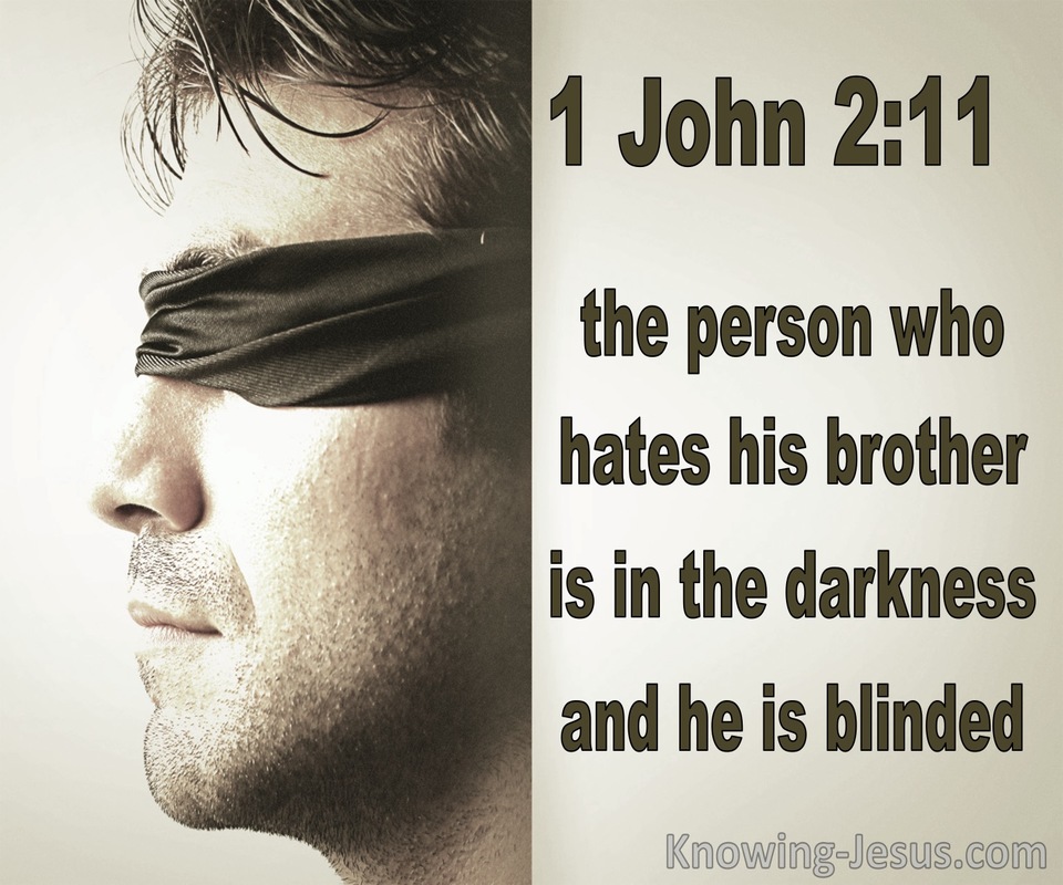 1 John 2:11 The Darkness Has Blinded His Eyes (brown)